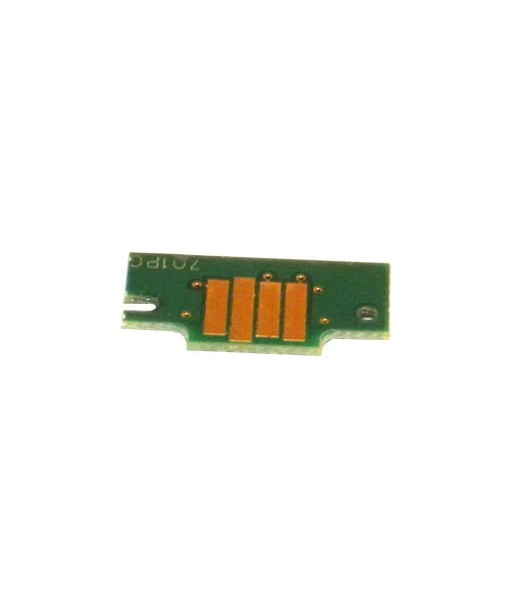 Chip Canon 101